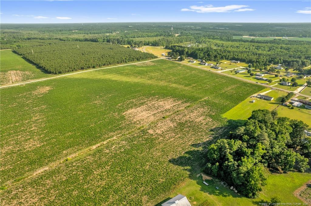 Land in Red Springs 5