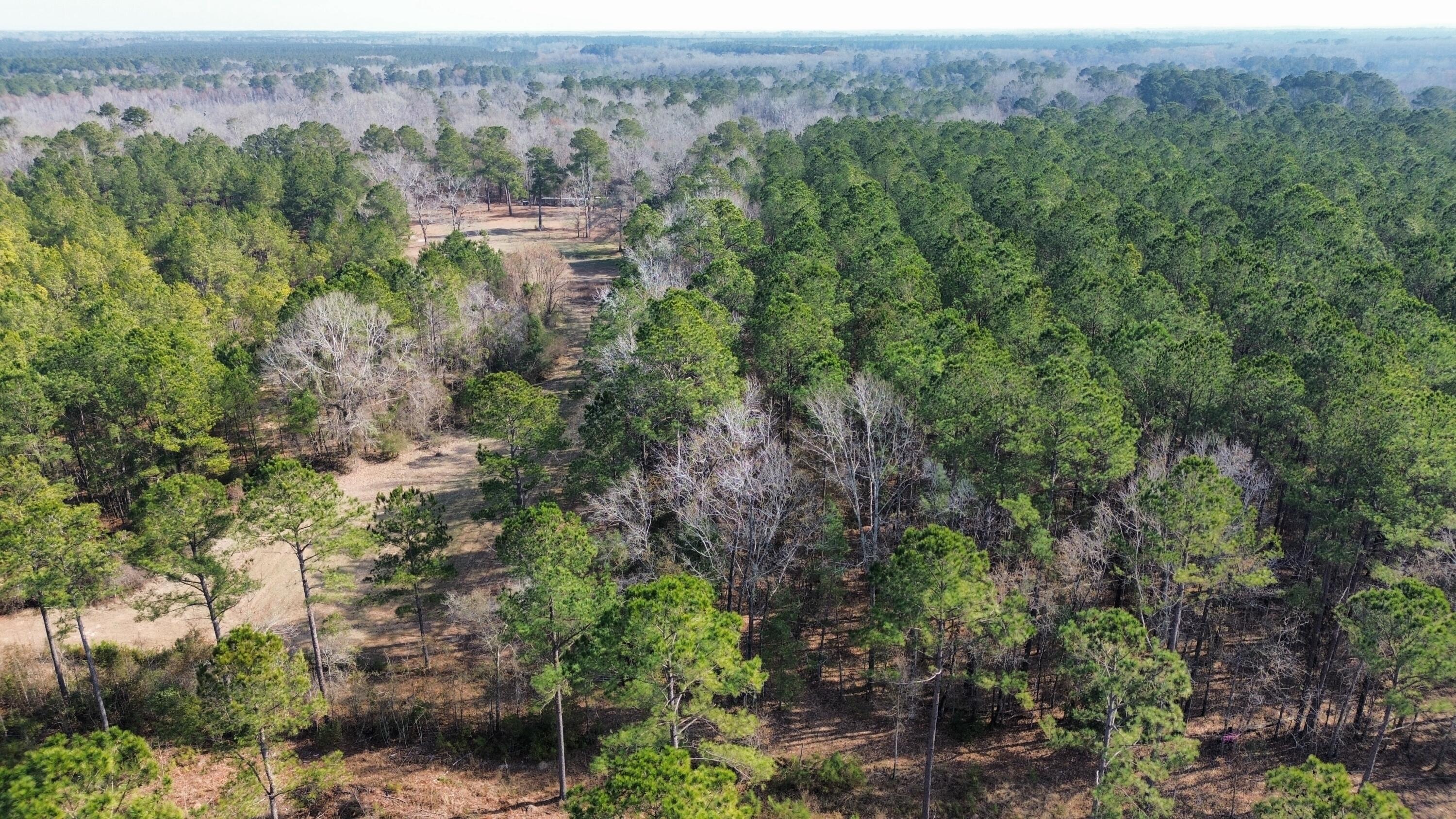 Land in Walterboro 3