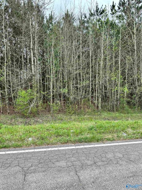 Lot 10 West Limestone School Road, Lester, AL, 35647 | Card Image