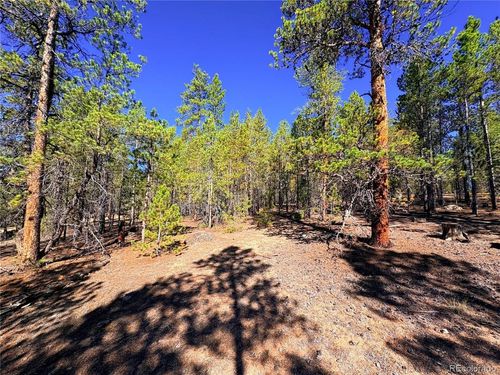 323 Aspen Dr, Leadville, CO, 80461 | Card Image