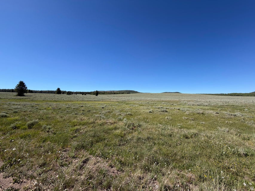 Land in Brian Head
