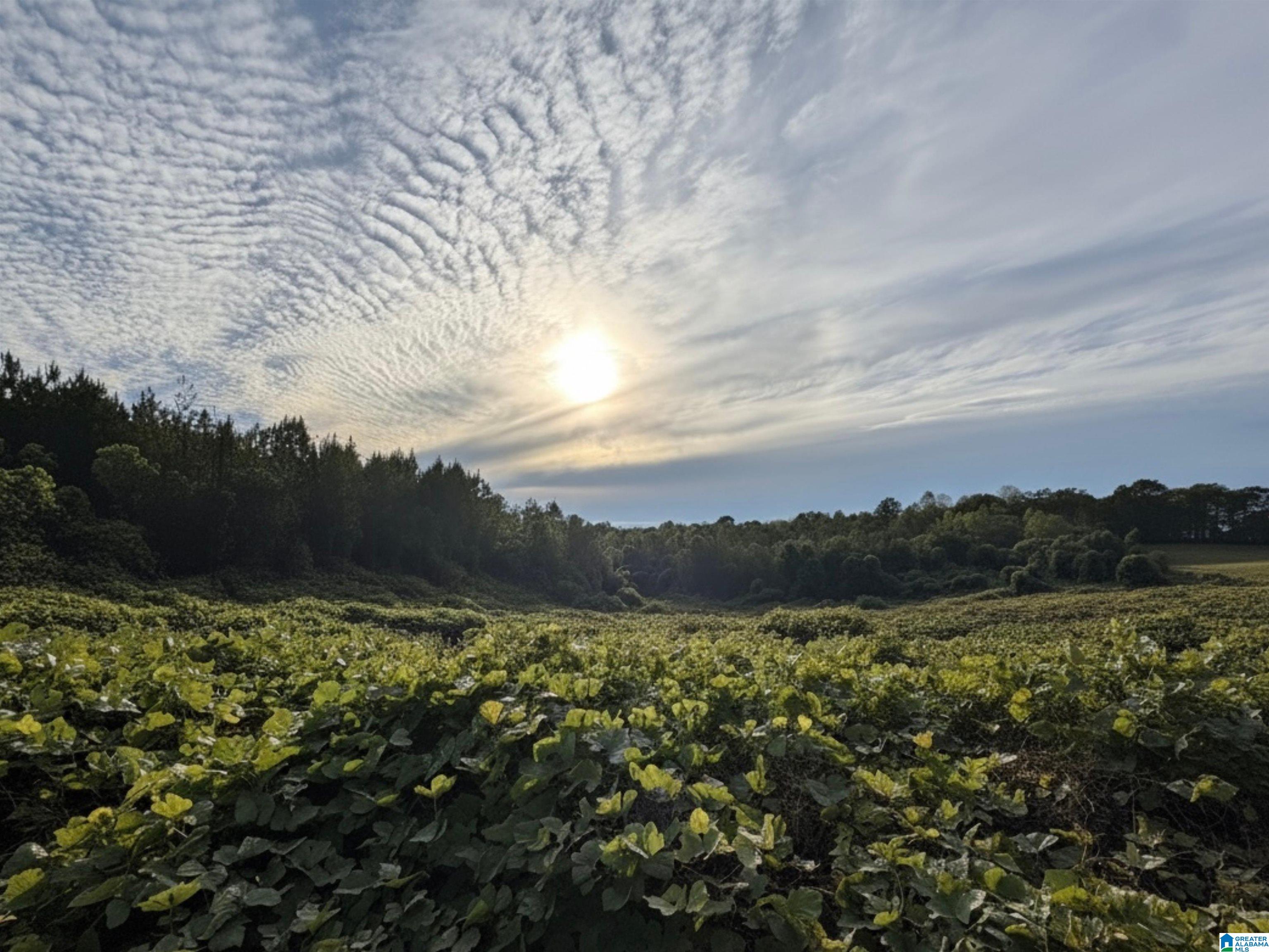 Land in NEWELL 5