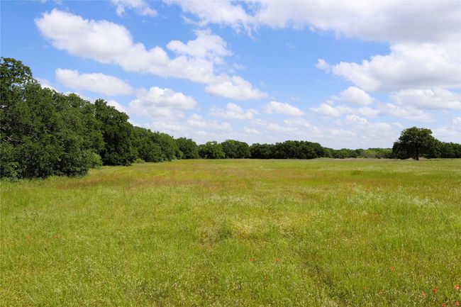 20 N Carroll St, Home with 0 bedrooms, 0 bathrooms and null parking in Henrietta TX | Image 19