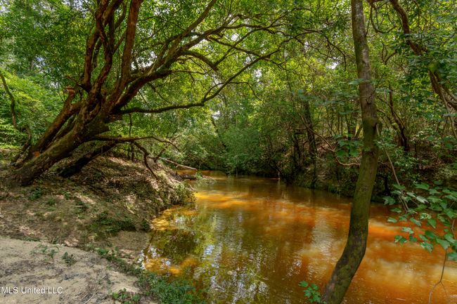 Creek | Image 44