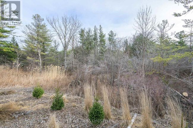 A22 - 4838 Switzer Dr, House other with 2 bedrooms, 2 bathrooms and 5 parking in Middlesex Centre ON | Image 10