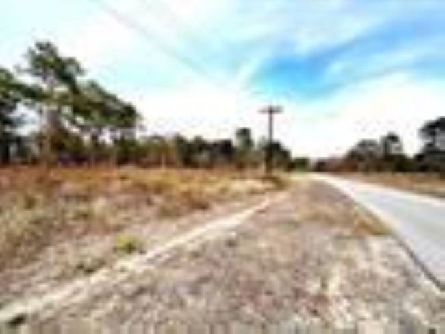 View of road | Image 4