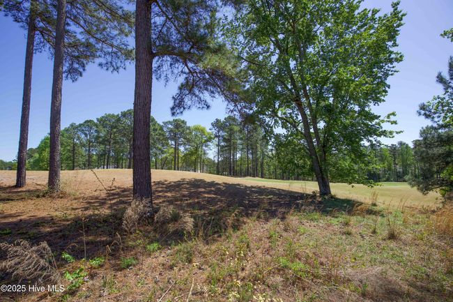 1471 Micahs Way N, House other with 3 bedrooms, 3 bathrooms and 2 parking in Spring Lake NC | Image 63
