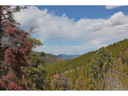 13499 S Firedog Way, Larkspur, CO, 80118 | Card Image