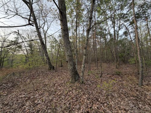 0 Salem Rd, Centerville, TN, 37033 | Card Image