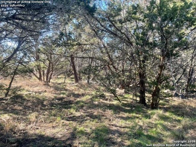 1049 Summit Ridge Dr, House other with 2 bedrooms, 2 bathrooms and null parking in New Braunfels TX | Image 22