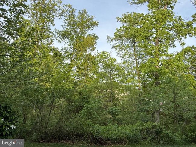 UNIT-102 - 23266 Southdown Manor Ter, Condo with 2 bedrooms, 3 bathrooms and null parking in ASHBURN VA | Image 15
