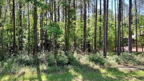 TBD Westridge Park, Livingston, TX, 77351 | Card Image