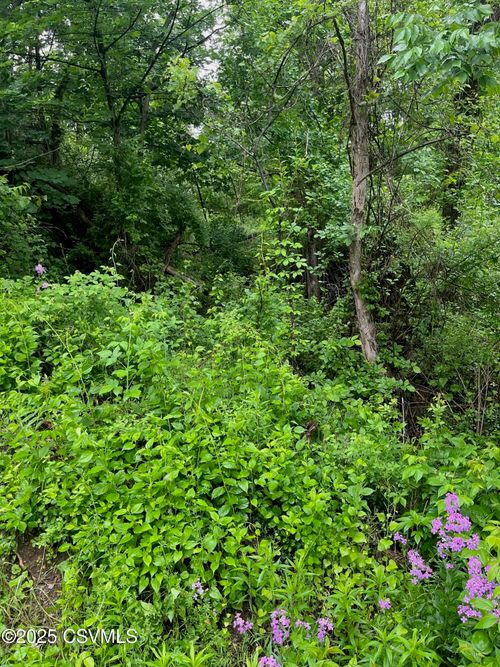 LOT Penns Creek Rd, Mifflinburg, PA, 17844 | Card Image