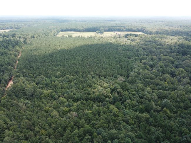 00 Highway 371, Home with 0 bedrooms, 0 bathrooms and null parking in Rosston AR | Image 6