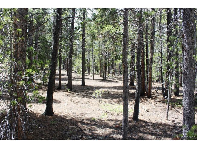 435 Aspen Rd, Home with 0 bedrooms, 0 bathrooms and null parking in Black Hawk CO | Image 26