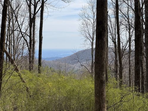 8 S Black Bear Ct, Sapphire, NC, 28774 | Card Image