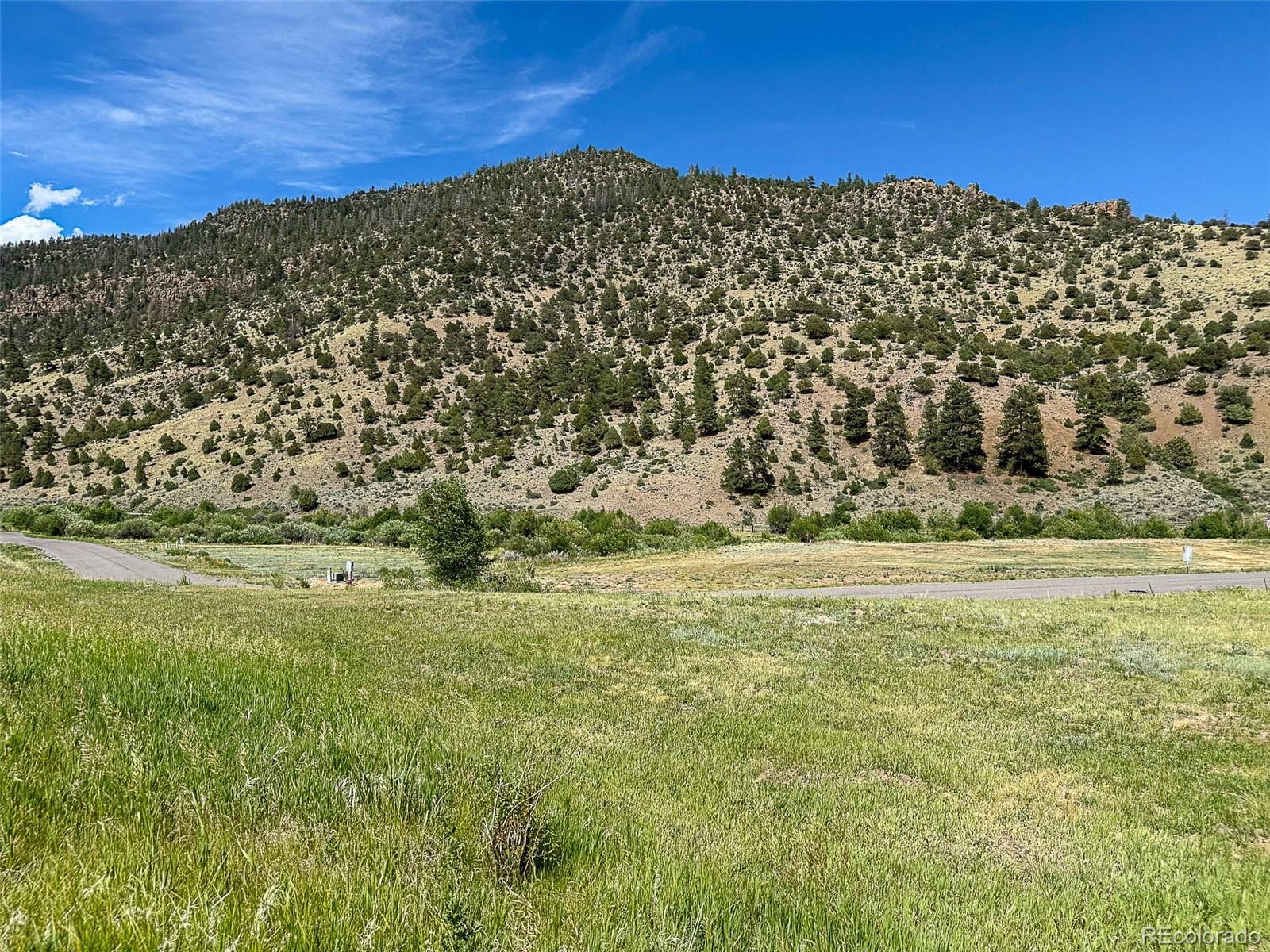 Land in South Fork 2