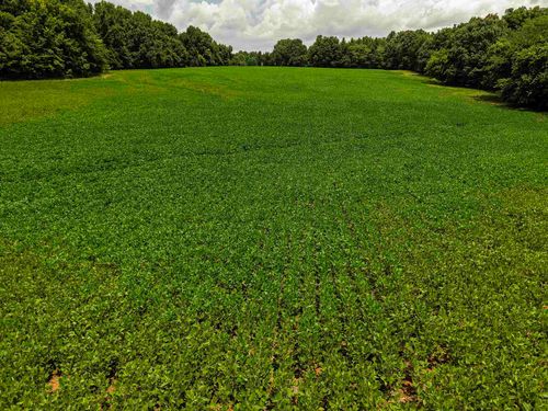 00 Mae Sigma Rd, Brighton, TN, 38011 | Card Image