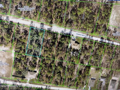 12170 Scarlet Ibis Ave, WEEKI WACHEE, FL, 34614 | Card Image