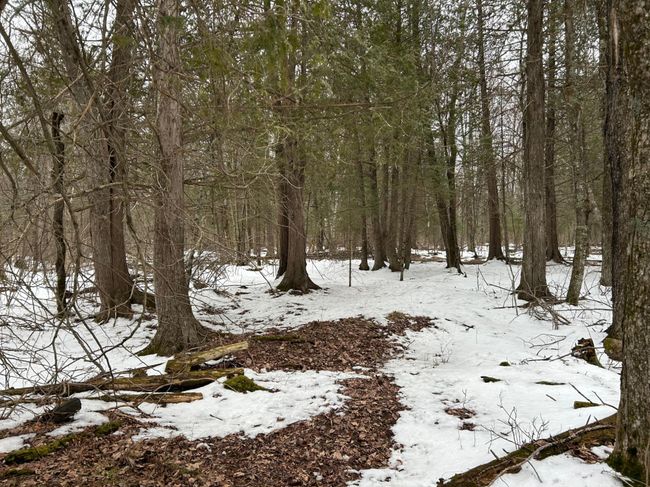 743 Woodlawn Rd, House other with 2 bedrooms, 1 bathrooms and null parking in Pickerel WI | Image 66