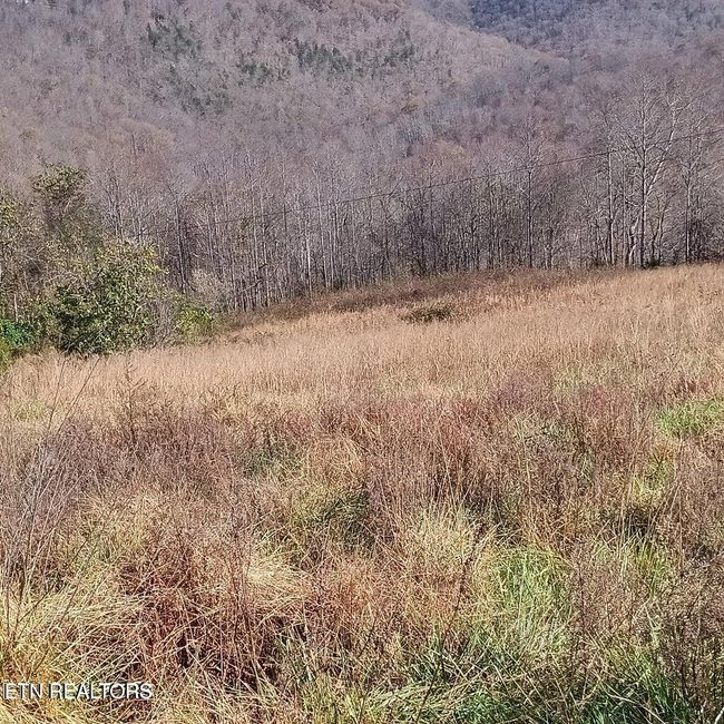 1 King Bend Rd, Home with 0 bedrooms, 0 bathrooms and null parking in Cumberland Gap TN | Image 4