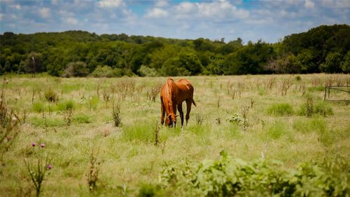 000 N Us Highway 77, Milford, TX, 76670 | Card Image