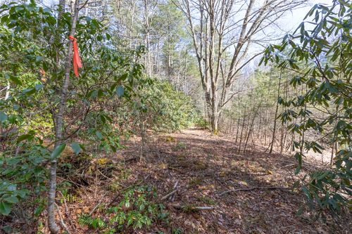 TBD Flat Mountain Rd, Highlands, NC, 28741 | Card Image