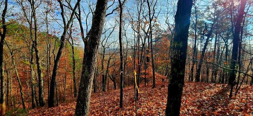 561-561 No Address, Ranger, GA, 30734 | Card Image