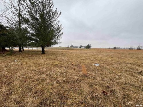Lot 1&2 Raleigh Road, Eldorado, IL, 62930 | Card Image