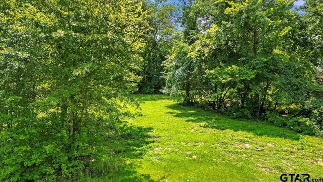14325 County Road 2141, Home with 3 bedrooms, 2 bathrooms and null parking in Troup TX | Image 41