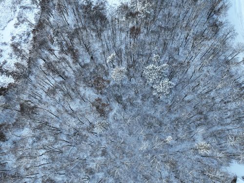 TBD Drake Cir, Pine River, MN, 56474 | Card Image