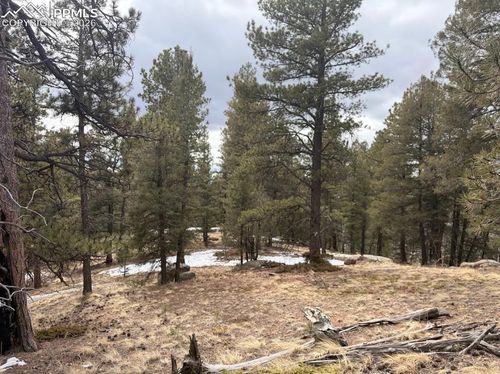 84 Point View Cir, Florissant, CO, 80816-8209 | Card Image