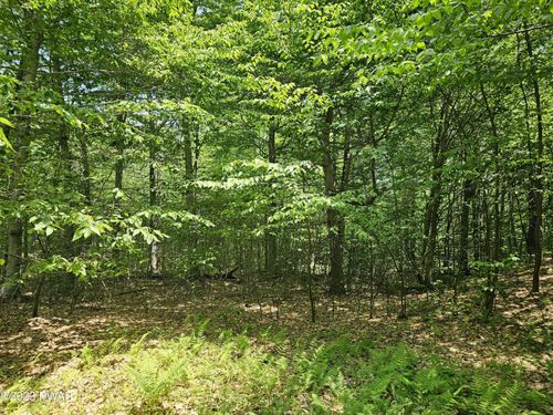 Lot 69 Stonegate Rd, Equinunk, PA, 18417-3028 | Card Image