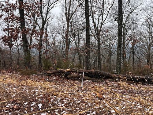 31 Skyview Ln, Holiday Island, AR, 72631-4307 | Card Image