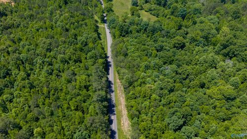 53 ACRES Beason Cove Rd, Steele, AL, 35987 | Card Image