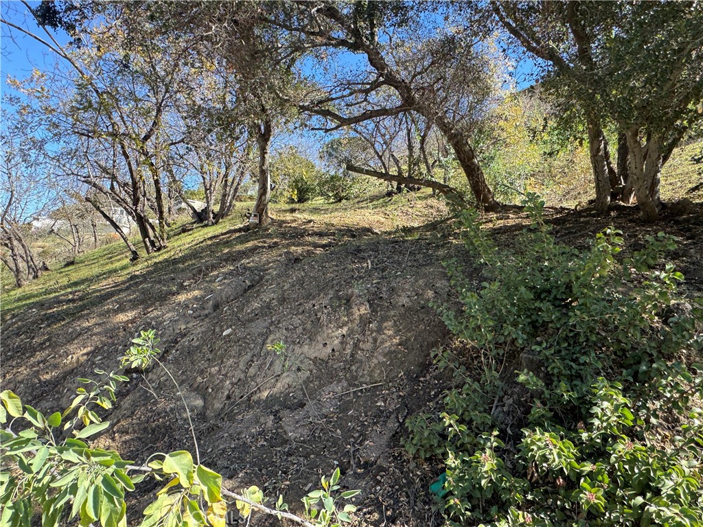 Land in Sherman Oaks 5