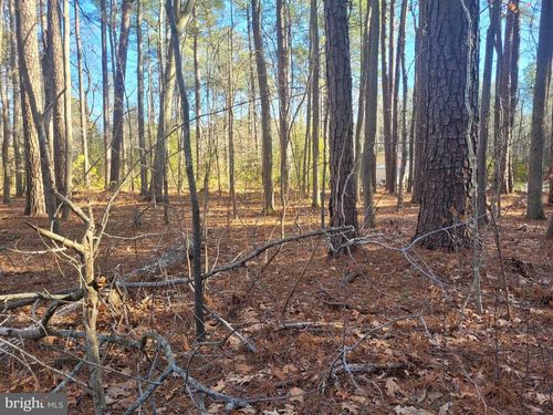 Lot 7 Diamond Dr, HAGUE, VA, 22469 | Card Image