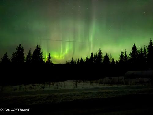 55446 Finch Ave, Homer, AK, 99603-9828 | Card Image