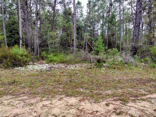 165 7th Way, INTERLACHEN, FL, 32148 | Card Image