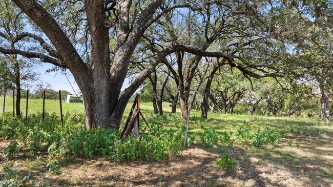 131 Elberta St, Home with 0 bedrooms, 0 bathrooms and null parking in Stonewall TX | Image 12