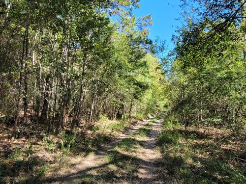 10785 Fm 2518 Rd, Cleveland, TX, 77327 | Card Image