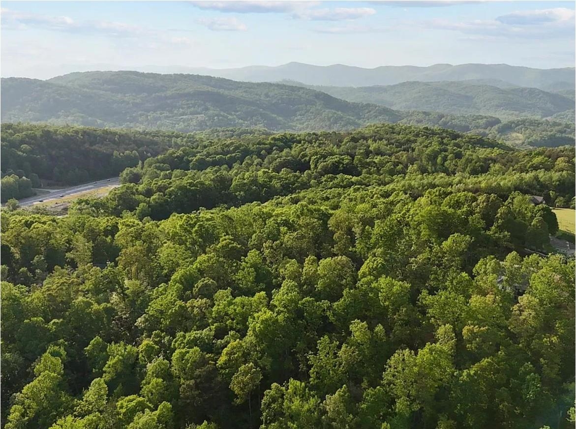 Land in Travelers Rest 3