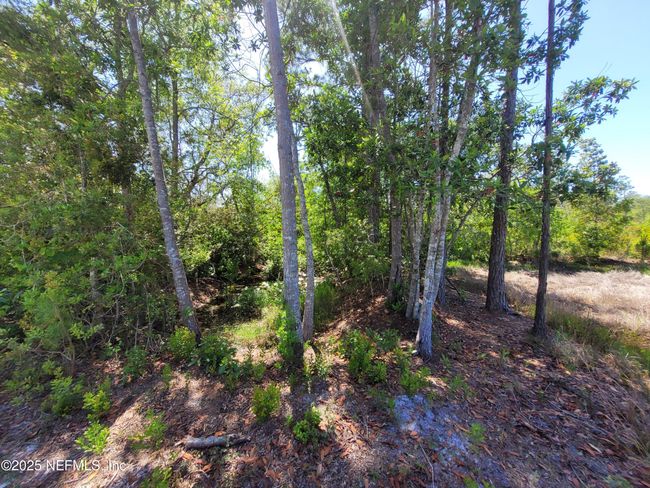 2155 State Road 40, Home with 0 bedrooms, 0 bathrooms and null parking in De Leon Springs FL | Image 53