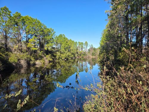 493 Domenico Cir, St Augustine, FL, 32086-7894 | Card Image