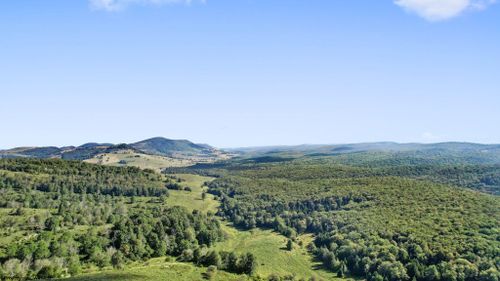 sinks-of-gandy-1303 Sinks Road, Harman, WV, 26270 | Card Image