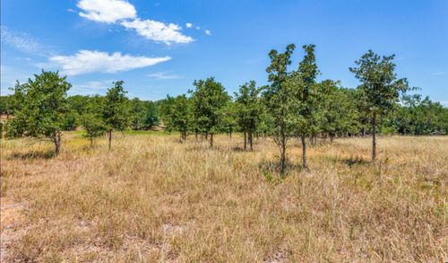 271 Creek Meadow Ct, Lipan, TX, 76462 | Card Image