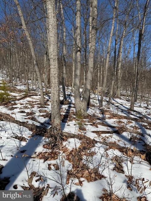 1706 Mercer Rd, Haymarket, VA, 20169-1330 | Card Image