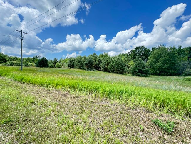 6 E 48 Th St, Home with 0 bedrooms, 0 bathrooms and null parking in Chase MI | Image 4