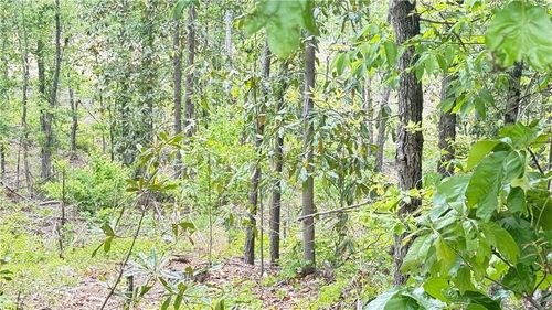 0 Hulseytown Rd, Dallas, GA, 30157 | Card Image