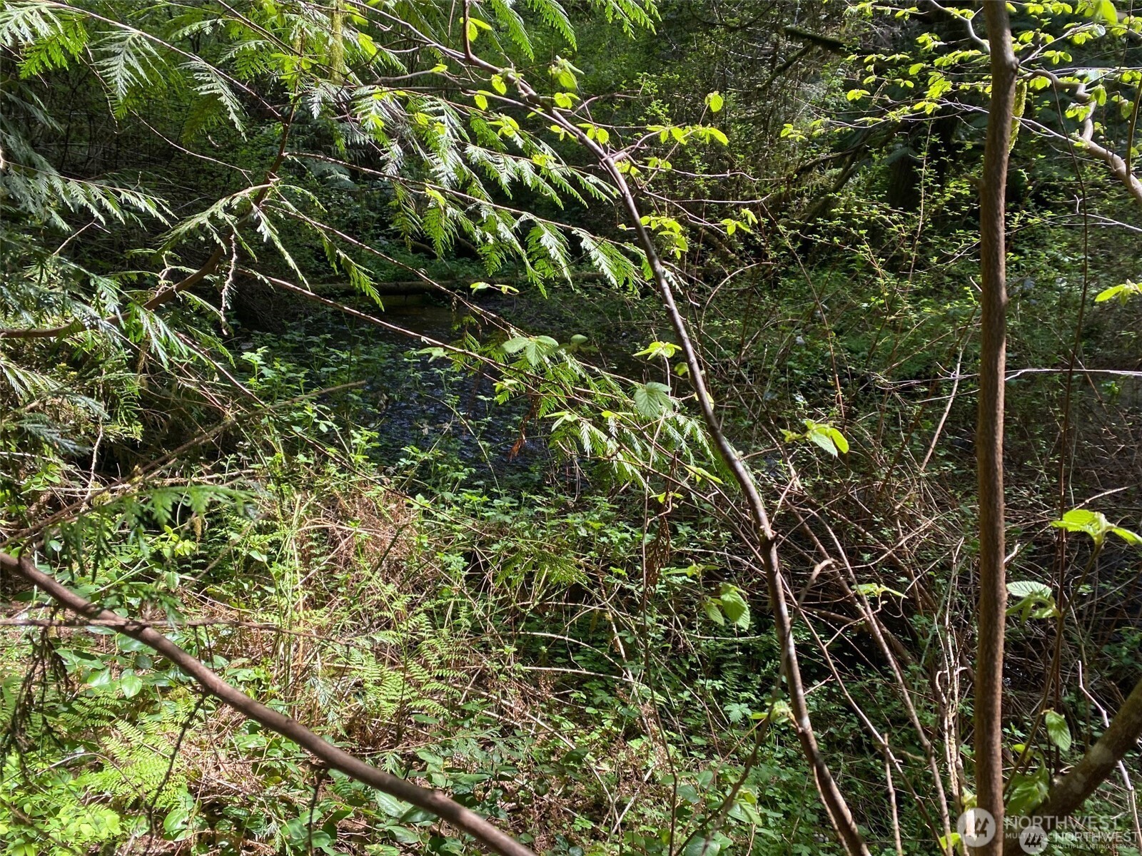 Land in Shelton